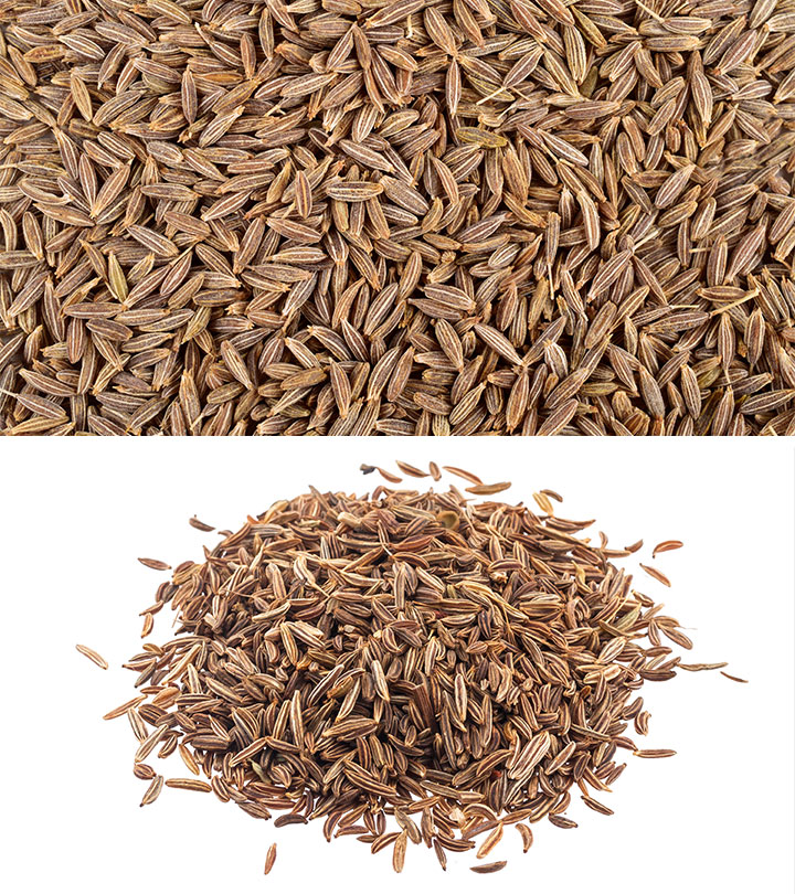 Exporter Cumin Seed From India Rajshree Agri Export